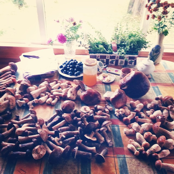 Sunday. Our staff went mushrooming &mdash; and this is what they came back with! The main thing is not to get lost in the forest in search of such &ldquo;treasure&rdquo; and don&rsquo;t end up in one of the most frightening and mysterious places in all of Russia.