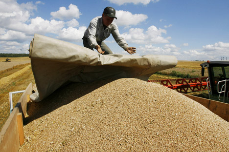 An import of Russian wheat.