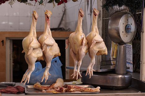 Presença de cloro no frango pode gerar novo embargo às importações do Brasil Foto: wikipedia.org