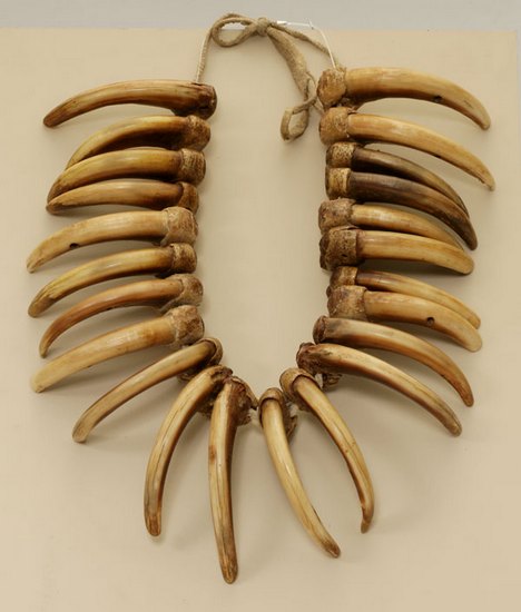 Armadura única feita de osso é encontrada na Sibéria pela primeira vez Foto: wikipedia.org