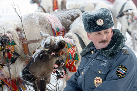 Supõe-se que em cada posto da polícia haverá de 3 a 4 animais de serviço e um trenó especial Foto: Lev Fedosseiev/TASS