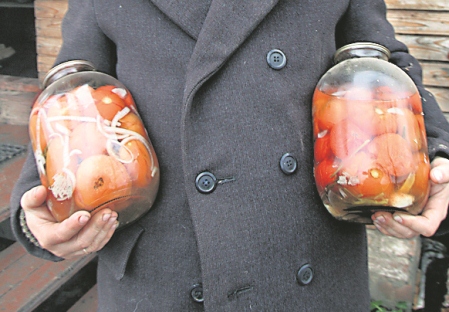 Gartentomaten: im Sommer essen, für den Winter einmachen. Foto: Kommersant