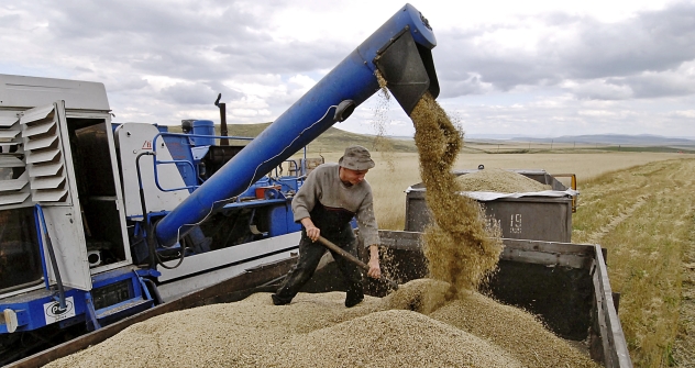 The grain in the  marketplace is barely enough to cover supply, which makes traders hypersensitive to a bad harvest, experts argue. Source: ITAR-TASS 