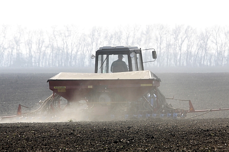 The highest prices for farmland in the Russian regions were found to be in the Krasnodar. Source: ITAR-TASS