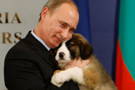 Pútin abraça cão presenteado pelo primeiro-ministro búlgaro Boyko Borisov Foto: Reuters / Vostock Photo