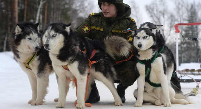 A cadet with Huskies during the military cynologists' training sessions at the Training Center for Service Dog Breeding. Source: Mikhail Voskresenskiy / RIA Novosti