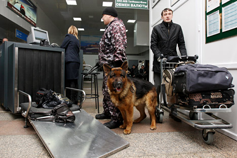 Estos animales pueden detectar droga, explosivos y animales exóticos en los equipajes. Fuente: Maksim Bogodvid / RIA Novosti