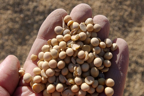 Russian consumers perceive soybeans as a cheap substitute for animal protein. Indeed, soy protein is three to five times cheaper than animal protein, though it has similar nutritional properties and a neutral taste. Source: ITAR-TASS.