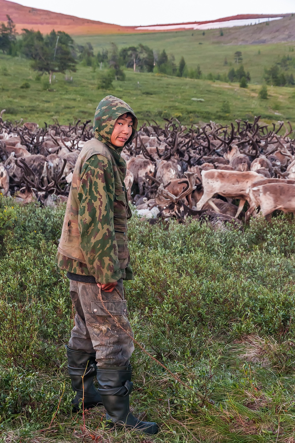 Il existe actuellement deux genres de fermes de rennes, explique Kirill. Les premières sont appelées fermes familiales, elles sont exploitées par des gens pratiquant l’élevage de rennes depuis des générations. Pour eux, le troupeau est leur propriété, grâce à laquelle ils vivent et se nourrissent.