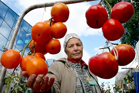 Russia's Agricultural Ministry to propose a bill intended to specify the food regulation mechanisms. Source: ITAR-TASS