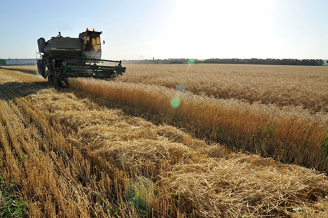 India could lease farmland in the Russian Far East. Source: Alexander Pogotov/RIA Novosti
