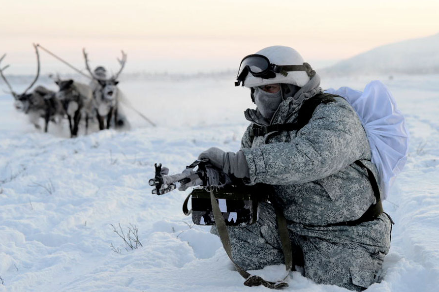 The soldiers tried to control the dog and reindeer sleds.