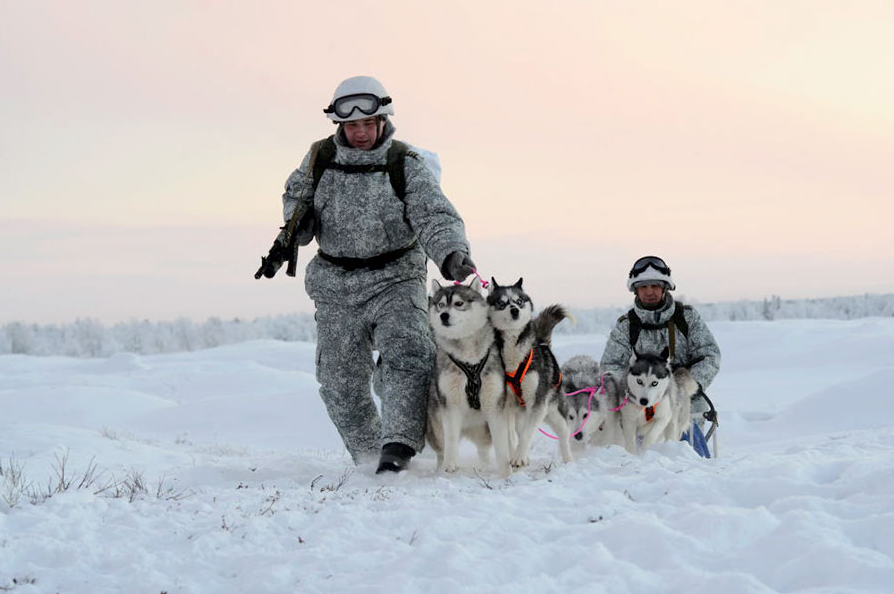 Siberian huskies have also entered the ranks of the Russian Northern Fleet’s contingent in the Arctic.