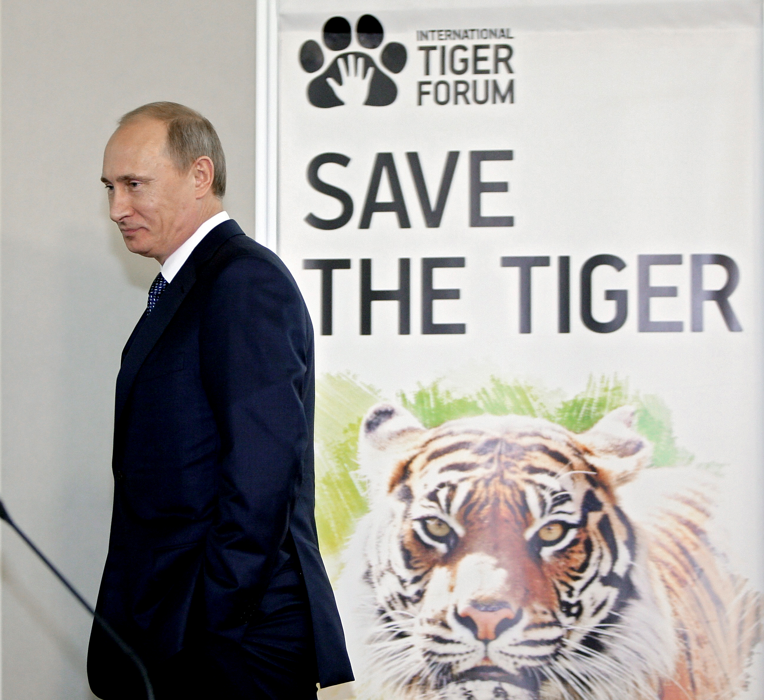 Vladimir Putin at the International Tiger Conservation Forum, November 23, 2010.