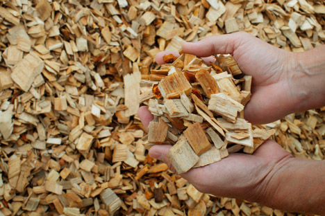 A oggi l'energia generata dalle biomasse ammonta a circa 13 Twh. E dovrebbe raggiungere i 34 Twh nel 2020 (Foto: Reuters)