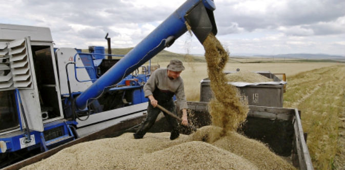 Il grano russo nel mercato interno, a seguito degli ultimi periodi di siccità, è appena sufficiente per rispondere ai consumi (Foto: Itar-Tass)