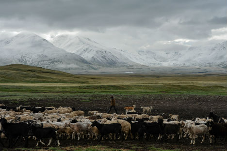 L'altopiano dell'Altaj (Foto: Itar Tass)