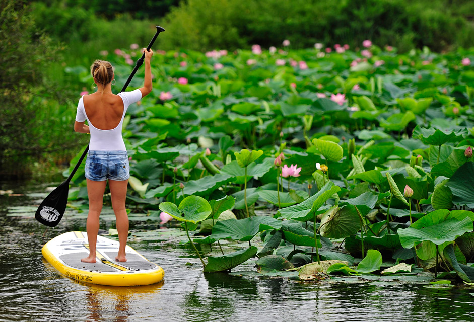 Joven practica paddle surf en el lago Karasibo,  en la región de Moscú. 