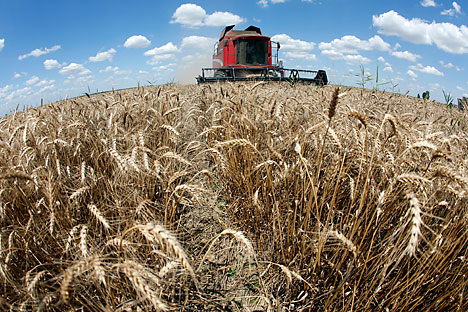 Rusia juga akan mengekspor gandum ke pasar Indonesia, Mesir, Bangladesh, dan Mozambik, yakni negara-negara yang sebelumnya bergantung pada gandum dari Australia.
