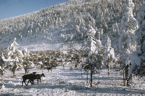 Бајковит зимски пејзаж и најладната точка на северната полутопка. Извор: РИА Новости.