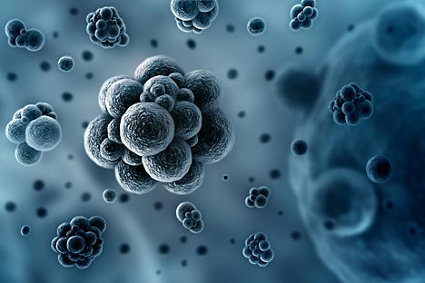 Новата технологија овозможува набљудување слоеви живи ткива со цел да се добие увид во тоа како во нив се распоредуваат молекулите на определен лек. Извор: Shutterstock