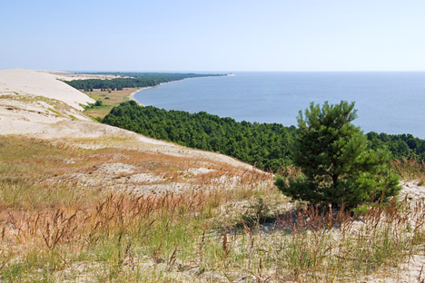 Куршска превлака на обали Балтика: музеј природних зона. Извор: ИТАР-ТАСС.