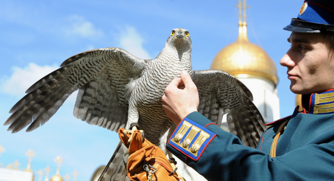 Кремљовскиот соколар и неговата птица имаат задача да ги чуваат златните куполи на Московскиот кремљ (во позадината) од врани. Извор: ИТАР-ТАСС.