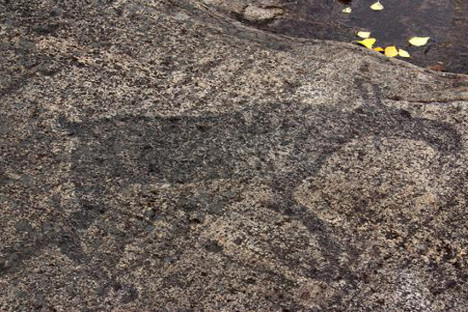 „Камена књига Севера“: петроглифи на стенама у Пудошком рејону Карелије стари су 6-7 хиљада година. Извор: Lori / Legion Media.