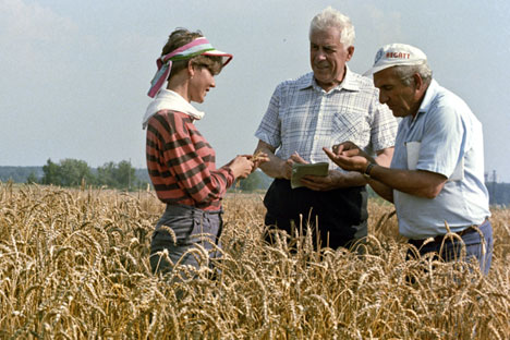 Баграт Сандухадзе (са качкетом) заједно је са колегама одгајио 15 нових сорти озиме пшенице за зону где је земљиште слабијег квалитета. Извор: Владимир Акимов / РИА „Новости“.