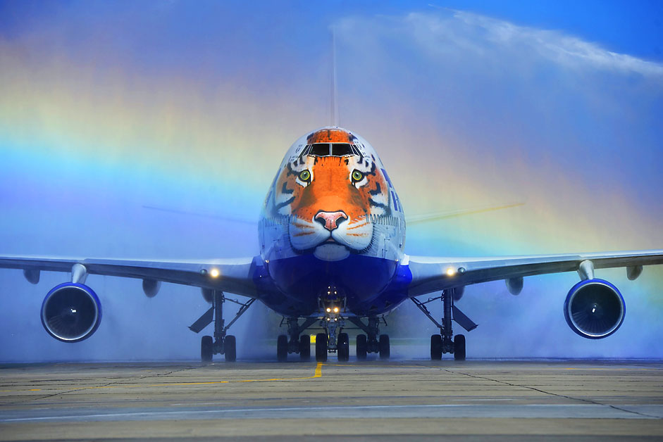 Самолетът Boeing 747 на компанията Transaero с нарисувана на носа му глава на амурски тигър пристига във Владивосток, където се отбелязва Денят на тигъра.