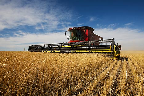 Além de grãos, Rússia quer aumentar exportação de fertilizantes