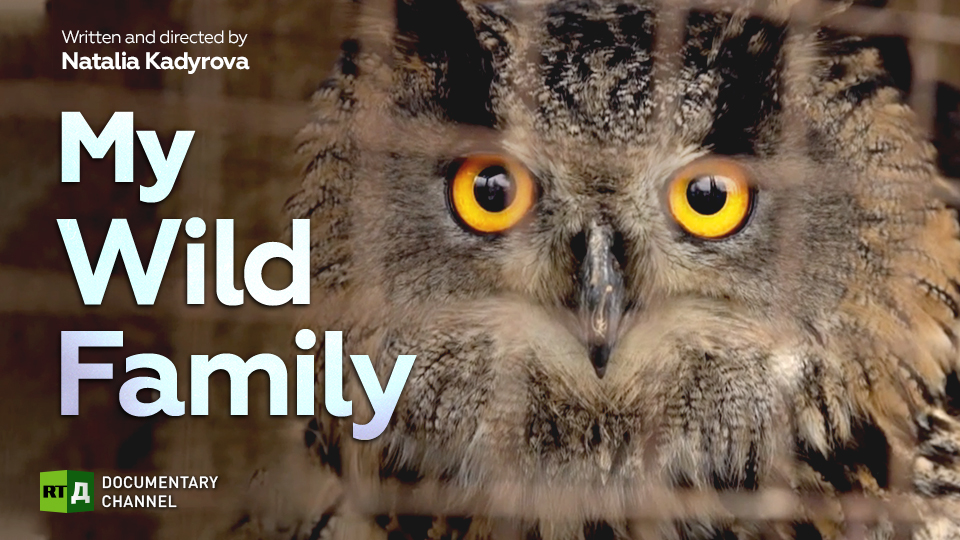 Wild animal rehab is a family business for a Russian couple — RTD Wild animal rehab is a family business for a Russian couple — RTD